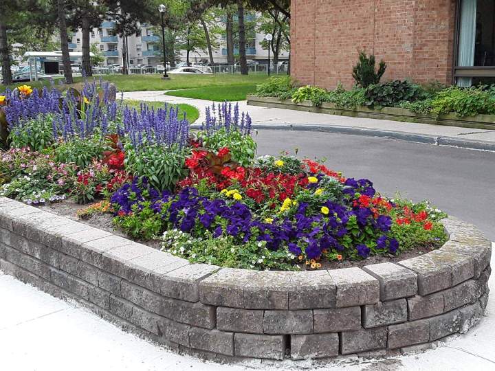 Activities for seniors Scarborough
