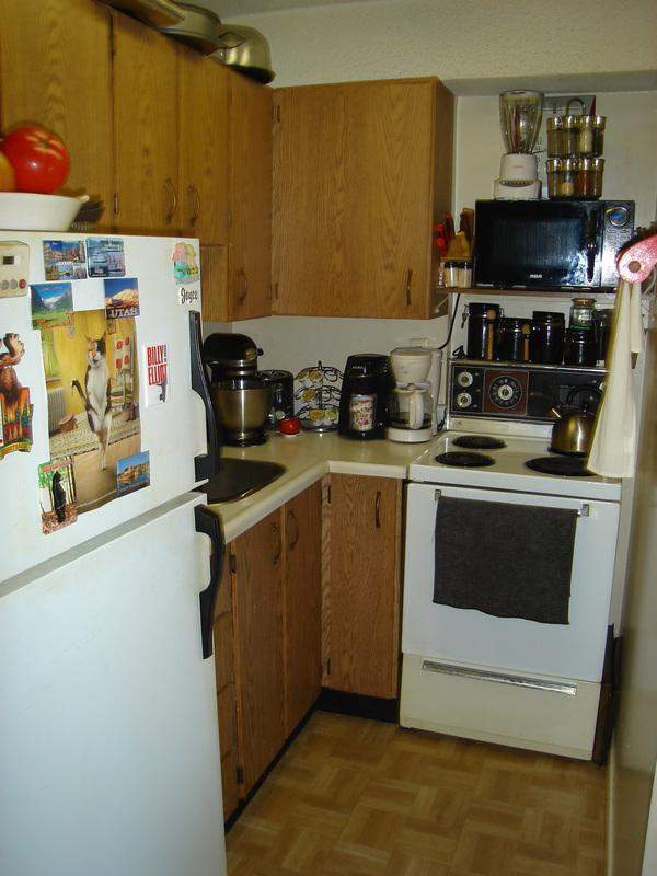 Charming bachelor suite Scarborough