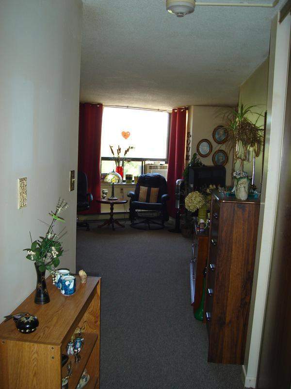 Modern Bachelor Suite in Scarborough
